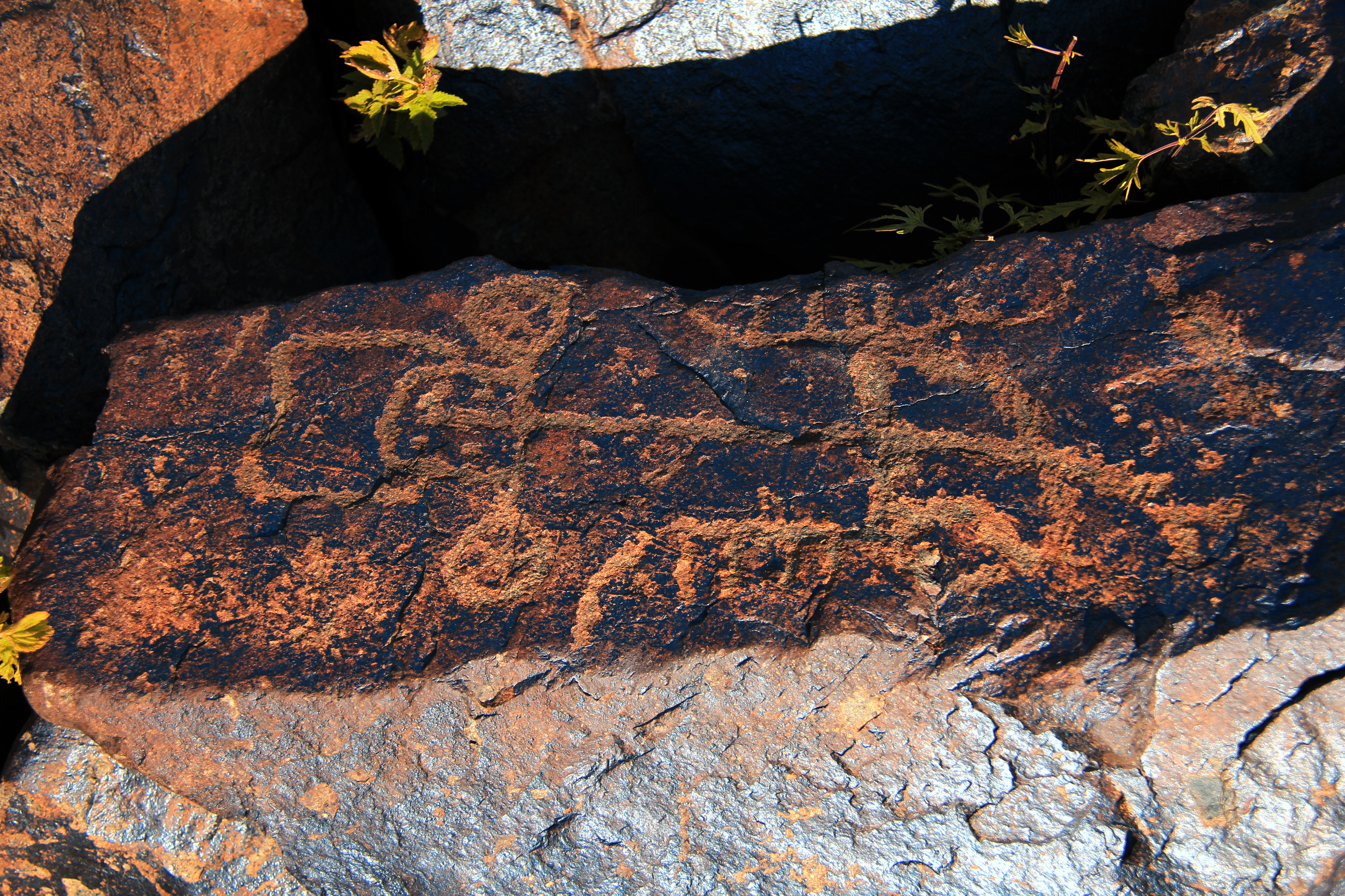 Gəmiqaya petroqlifləri